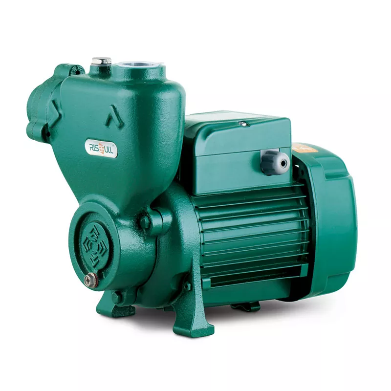 Self-priming Electric Water Pump